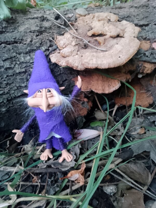 Duende Violeta